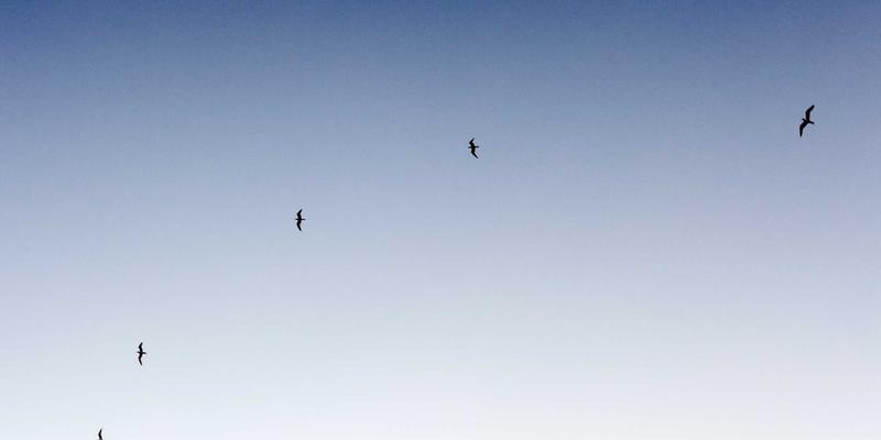 ERP与CRM协同下的数字化转型：企业如何应对多法域数据隐私合规新挑战