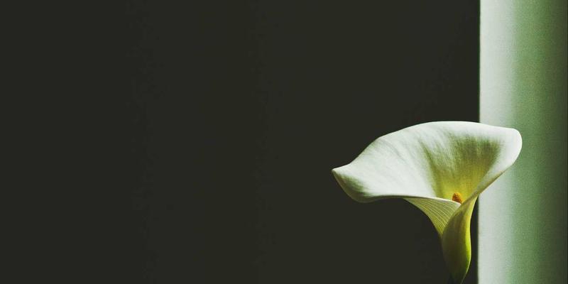 IT咨询视角：如何借助ERP与数据分析，实现企业文化价值观从0到1的体系化落地