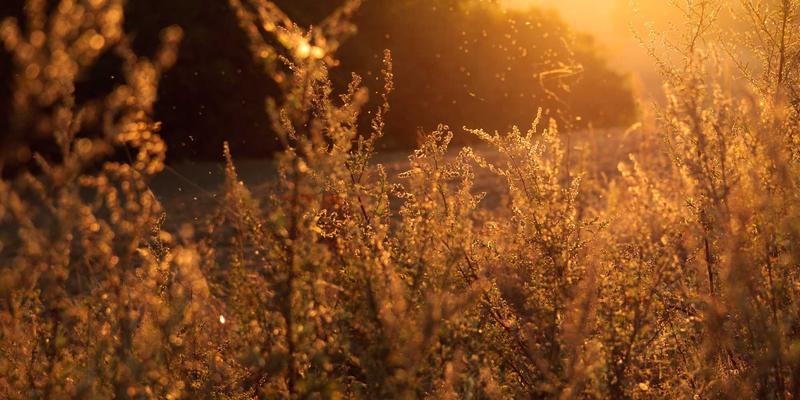 OKR与KPI如何融合？信息化服务与CRM战略落地的双引擎