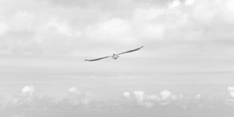 企业创新管理新范式：IT咨询视角下如何构建可持续的内部创业与孵化体系——以好智通ERP实践为例