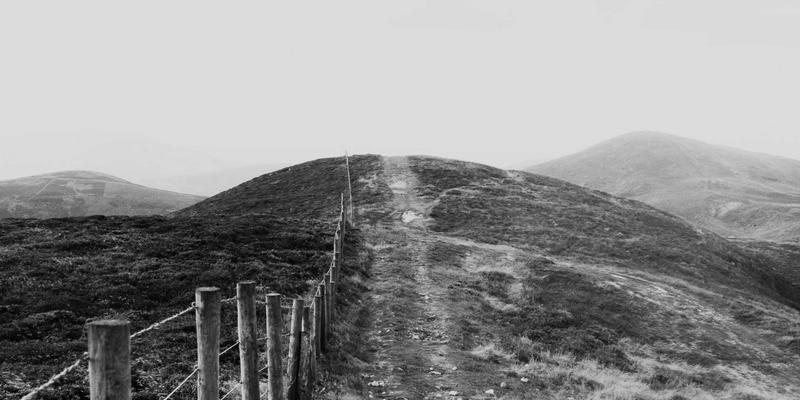 企业管理79：数字化转型时代，IT咨询如何重塑企业核心竞争力