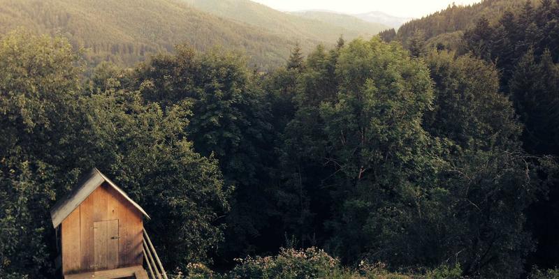 数字化转型中的战略抉择:从企业管理案例看IT咨询与信息化服务的核心价值