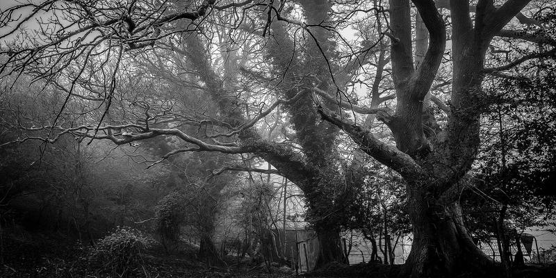 数字化转型利器：IT咨询视角下的十大精细化成本控制工具与CRM实践案例