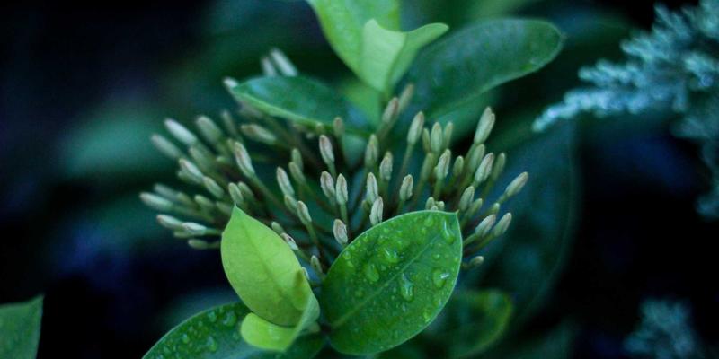 数据分析驱动未来：如何通过ERP与业务系统整合实现动态预算管控