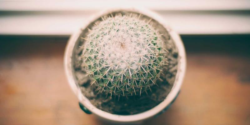 数据驱动决策：IT咨询专家揭秘如何构建高效业务分析仪表盘