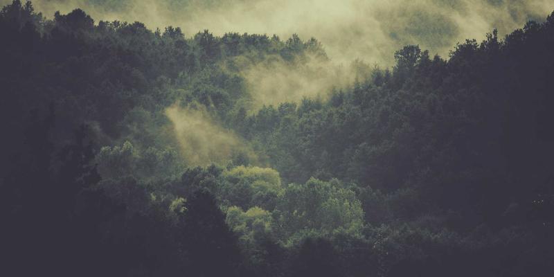 精益企业管理新战场：运用CRM与ERP系统消除行政部门的八大浪费